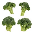 Broccoli Royalty Free Stock Photo