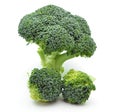 Broccoli Royalty Free Stock Photo