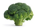 Broccoli Royalty Free Stock Photo