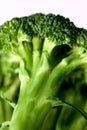 Broccoli 6