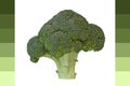 Broccoli Add