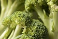 Broccoli Background Royalty Free Stock Photo