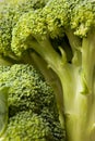 Broccoli Background Royalty Free Stock Photo