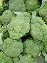 Broccoli background Royalty Free Stock Photo