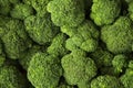Broccoli background Royalty Free Stock Photo