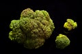 Broccoli on black background