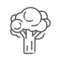 Broccoli black line icon. Natural vegetable sign. Healthy, organic food concept. Cooking ingredient. Pictogram for web, mobile app