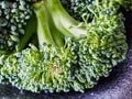 Broccoli bouquet Royalty Free Stock Photo