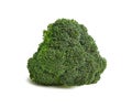 Broccoli Brassica oleracea var. Italica Royalty Free Stock Photo