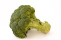 Broccoli (Brassica oleracea var. italica), an edible green plant in the cabbage family (family Brassicaceae) Royalty Free Stock Photo