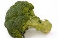 Broccoli (Brassica oleracea var. italica), an edible green plant in the cabbage family (family Brassicaceae) Royalty Free Stock Photo