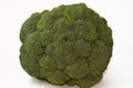 Broccoli (Brassica oleracea var. italica), an edible green plant in the cabbage family (family Brassicaceae) Royalty Free Stock Photo