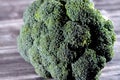 Broccoli (Brassica oleracea var. italica), an edible green plant in the cabbage family (family Brassicaceae) Royalty Free Stock Photo