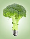 Broccoli with bulb Royalty Free Stock Photo
