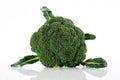 Broccoli Cabbage Royalty Free Stock Photo