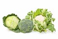 Broccoli, cabbage, cauliflower Royalty Free Stock Photo