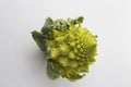 Broccoli cabbage Royalty Free Stock Photo