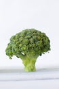 Broccoli. Royalty Free Stock Photo