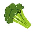 Broccoli cartoon green cabbage vegetable food icon Royalty Free Stock Photo