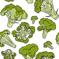 Broccoli or cauliflower seamless pattern, colored sketch illustration isolated on white background Royalty Free Stock Photo