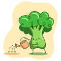 Broccoli character watering young sprouts from a watering can. A cute green vegetable broccoli farmer. Caring for the younger