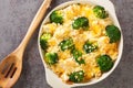 Broccoli Chicken divan is a creamy casserole topped with crispy buttered breadcrumbs close up in the dish. Horizontal top view Royalty Free Stock Photo