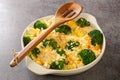 Broccoli Chicken divan is a creamy casserole topped with crispy buttered breadcrumbs close up in the dish. Horizontal Royalty Free Stock Photo
