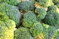 Broccoli close up texture background Royalty Free Stock Photo