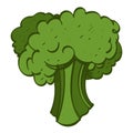 Broccoli color logo Royalty Free Stock Photo