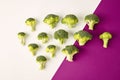 Broccoli on colored violet white background. Diagonal. Seasonal vegetables in modern style design pattern Royalty Free Stock Photo