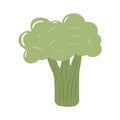 Broccoli colorful vector illustration isolated on white background. Hand drawn style cute doodle art. Agricultural concept. Royalty Free Stock Photo