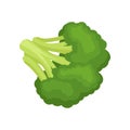 Broccoli concept. Vegetarianism and organic food. Vector illustration.