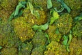 Broccoli on the counter of the vegetable market. Close-up and top view of fresh vegetables on store shelves. Royalty Free Stock Photo