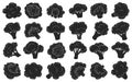 Broccoli crumbs vector black set icon. Vector illustration brocolli cabbage on white background. Isolated black set icon broccoli Royalty Free Stock Photo