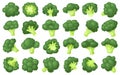 Broccoli crumbs vector cartoon set icon. Vector illustration brocolli cabbage on white background. Isolated cartoon set Royalty Free Stock Photo