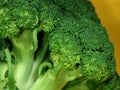 Broccoli detail