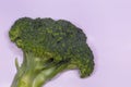 Single Broccoli isolated on white background
