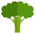 Broccoli flat icon. Green healthy fresh vegetable