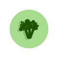 Broccoli flat icon. Round colorful button, circular vector sign, logo illustration.