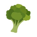 Broccoli flat icon vector illustration, brokoli vegetable in cartoon style