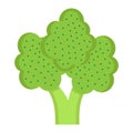 Broccoli flat icon, vegetable and diet