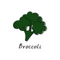 Broccoli flat illustration. Vegetable cabbage sign. Vector hand drawn cartoon icon Royalty Free Stock Photo