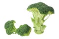 Broccoli Florets Royalty Free Stock Photo