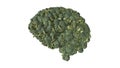 Vegan brain brain built from broccoli plants - 3D illustration