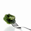 Broccoli & Fork Royalty Free Stock Photo
