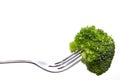 Broccoli on a Fork Royalty Free Stock Photo