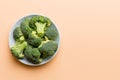 broccoli of fresh green broccoli in bowl over coloredbackground. , close up. Fresh vegetable Royalty Free Stock Photo