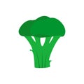 Broccoli green natural health vitamin plant vector icon. Ingredient agriculture flat delicious food top view vegetable