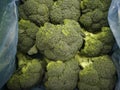 Broccoli in greengrocer