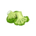 Broccoli group, whole and half. Cartoon style. Fresh farm vegetable. Eco and healthy product. Vector illustration Royalty Free Stock Photo